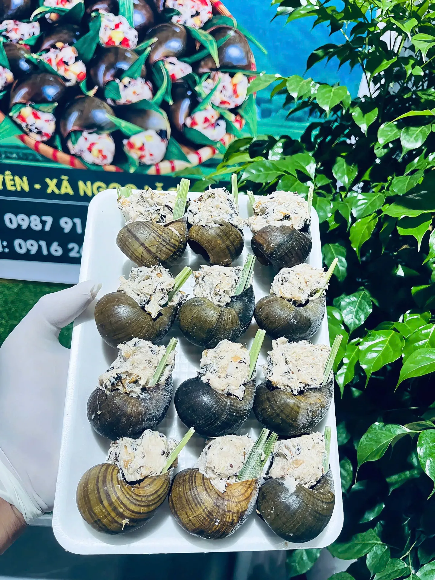  ỐC NHỒI THỊT 