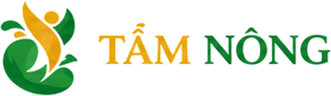 an tâm food